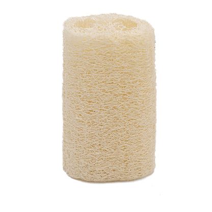 Luffa ca.10 cm Luffschwamm / Luffagurke