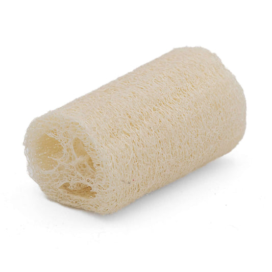 Luffa ca.10 cm Luffschwamm / Luffagurke