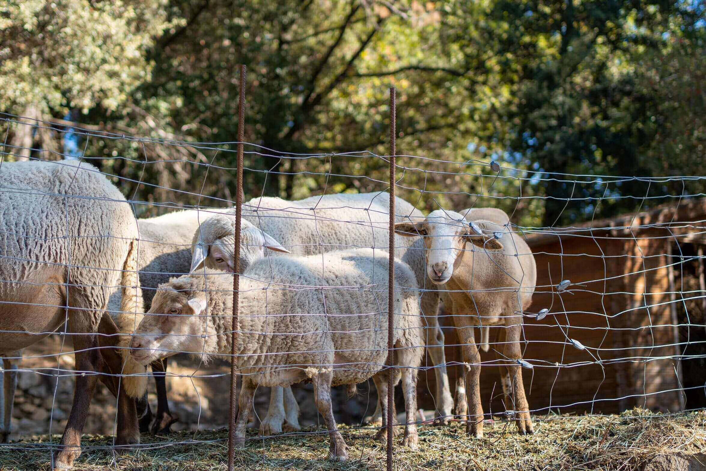 La Grange Rondeur Appassimento 2021