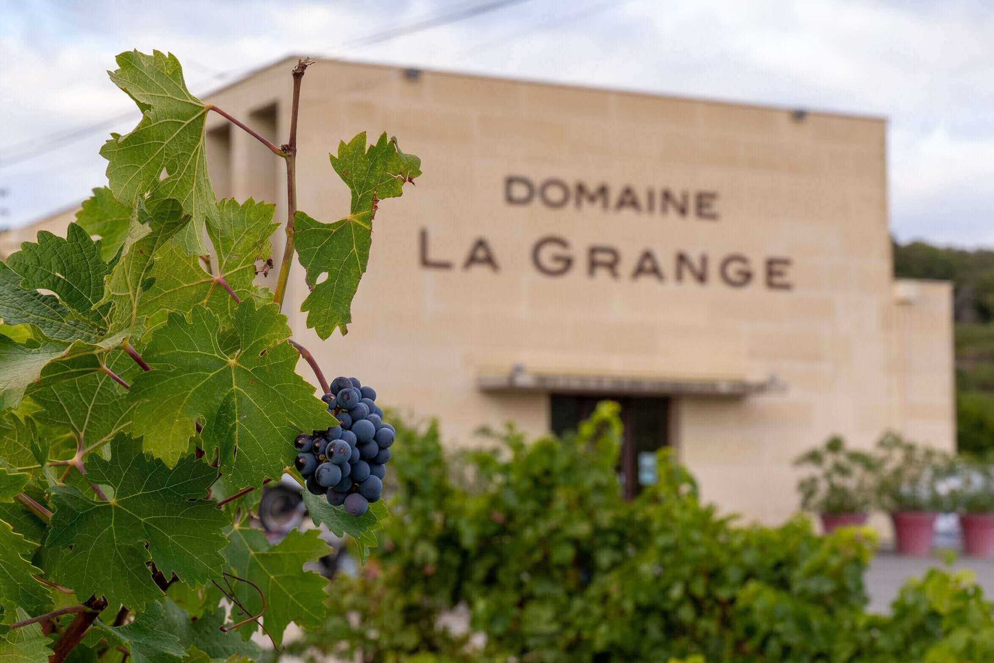 La Grange Rondeur Reserve Appassimento 2019